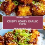 Crispy Honey Garlic Tofu (1)