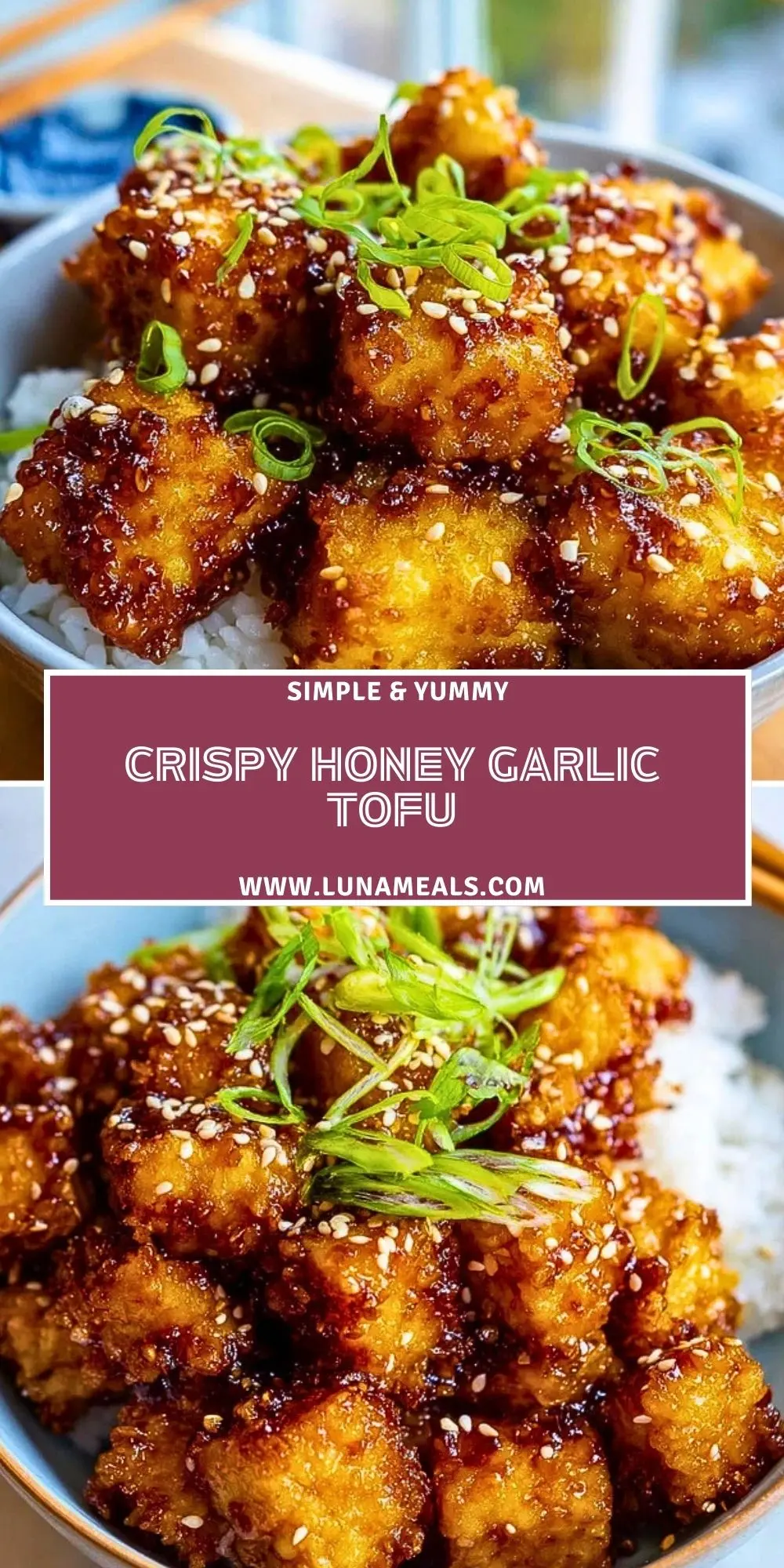 Crispy Honey Garlic Tofu (1)