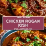 Chicken Rogan Josh (2)
