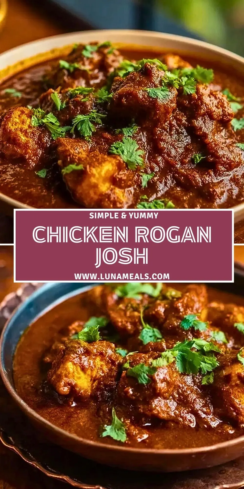 Chicken Rogan Josh (2)