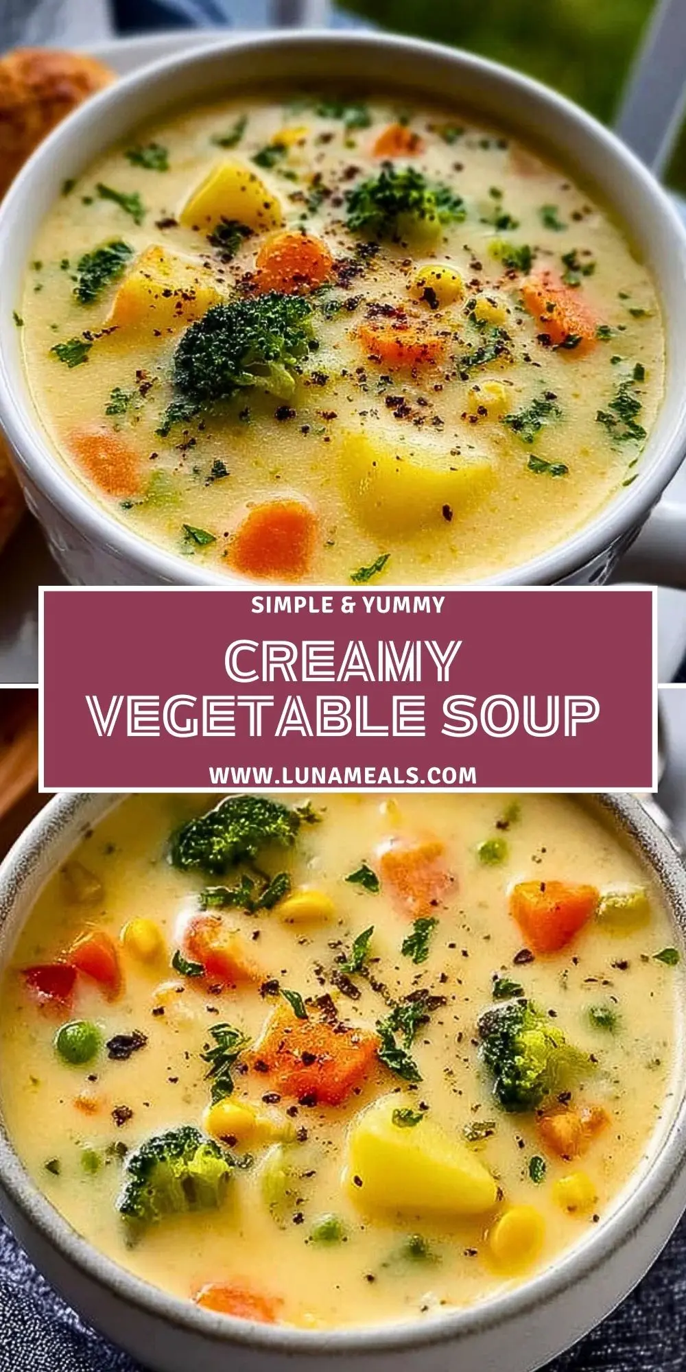 Creamy Vegetable Soup (2)