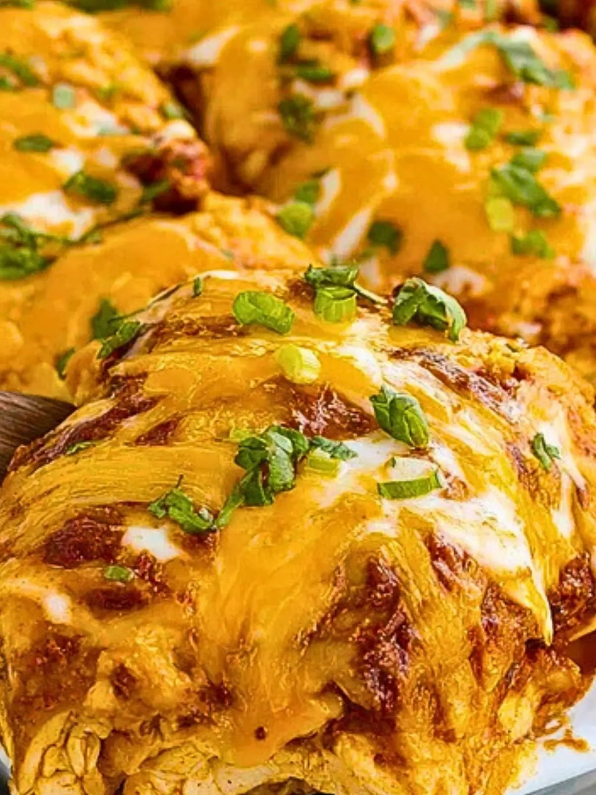 Chicken Enchilada Casserole (1)