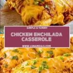 Chicken Enchilada Casserole (2)