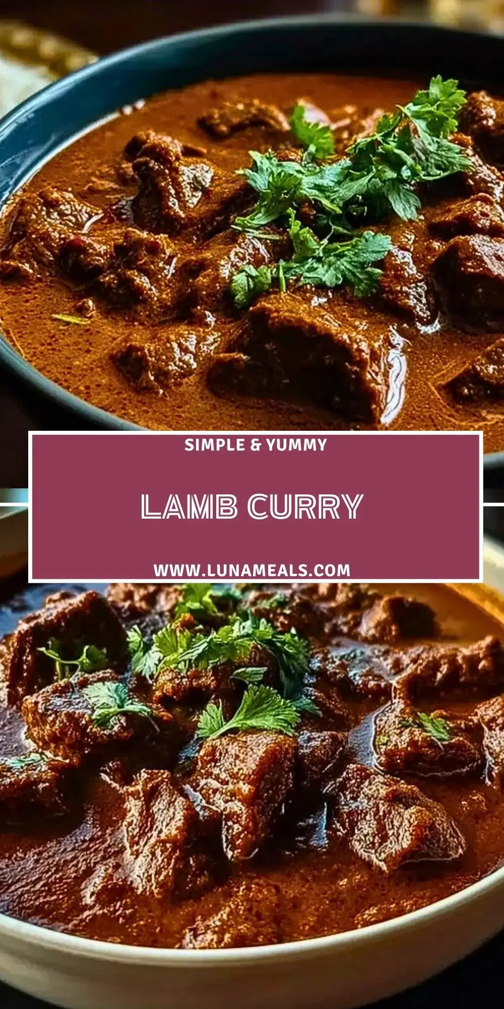 Lamb Curry (2)