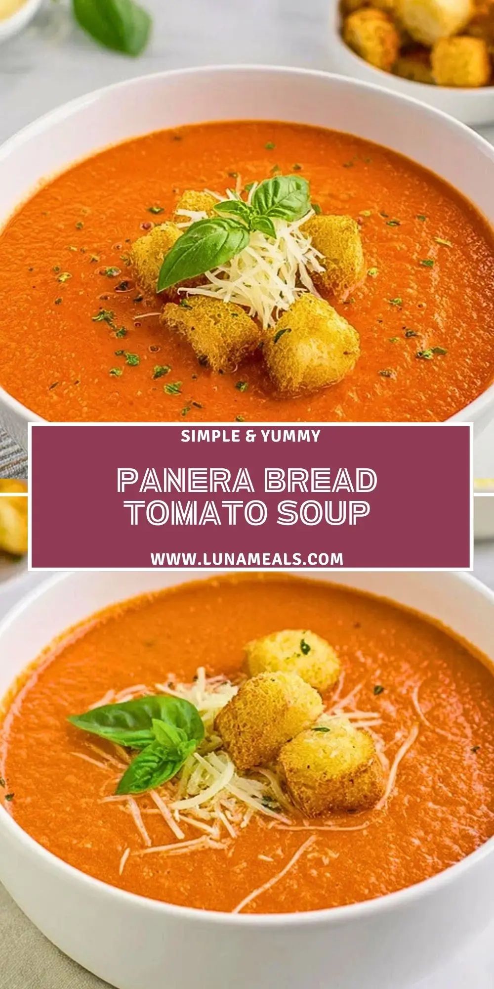 Panera Bread Tomato Soup (2)