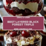 Best Layered Black Forest Trifle (2)