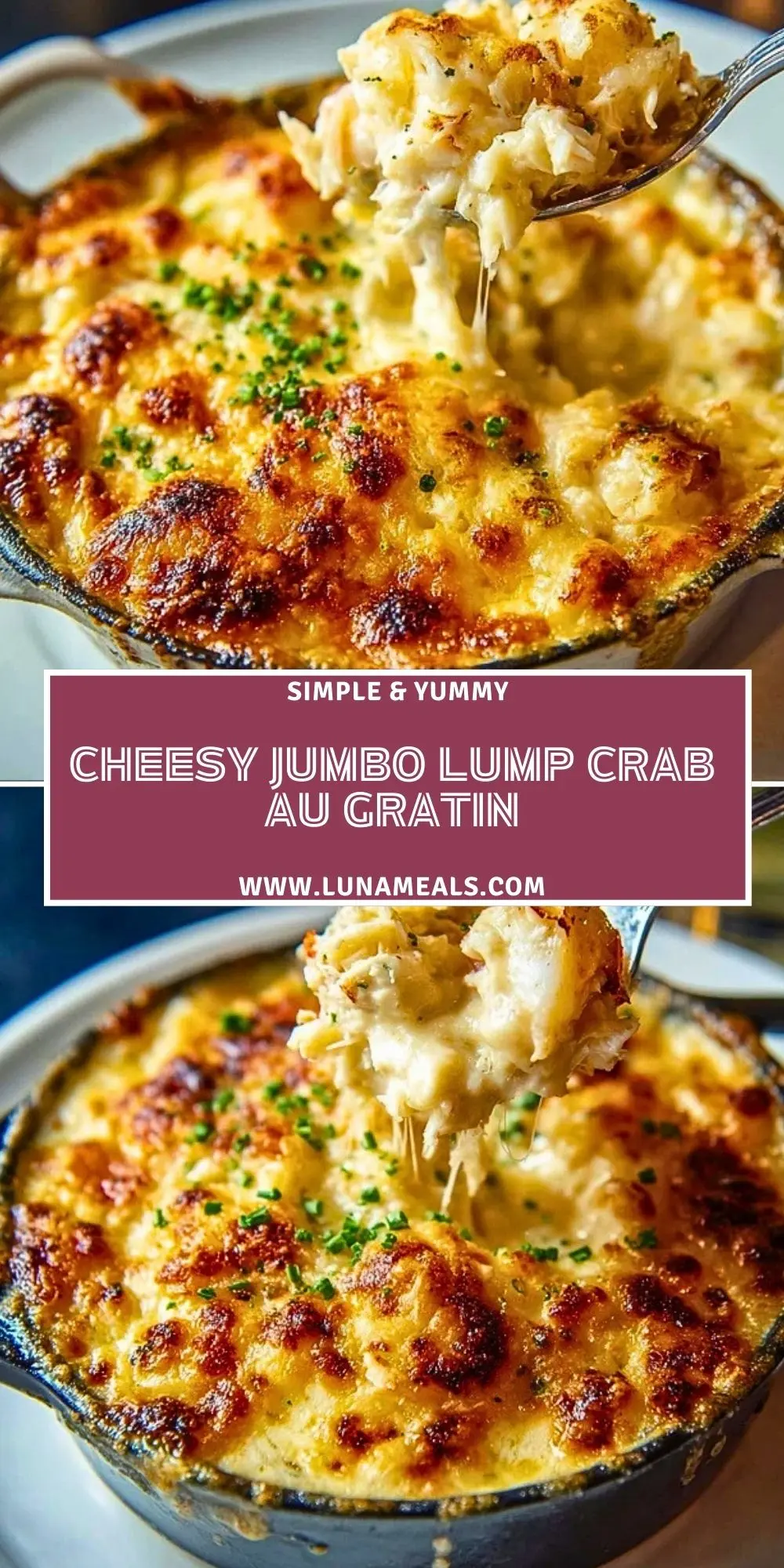 Cheesy Jumbo Lump Crab Au Gratin (2)
