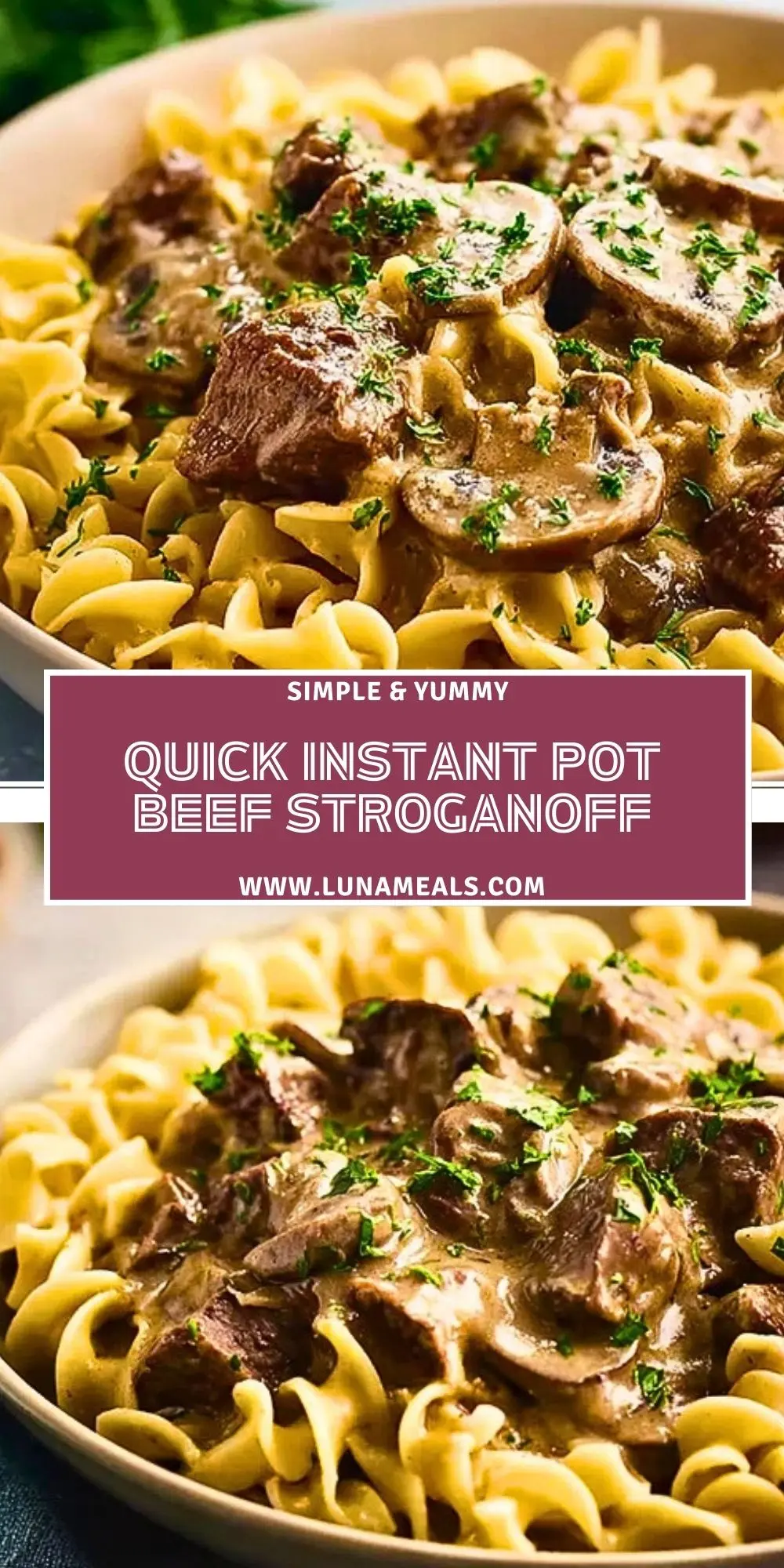 Quick Instant Pot Beef Stroganoff (2)