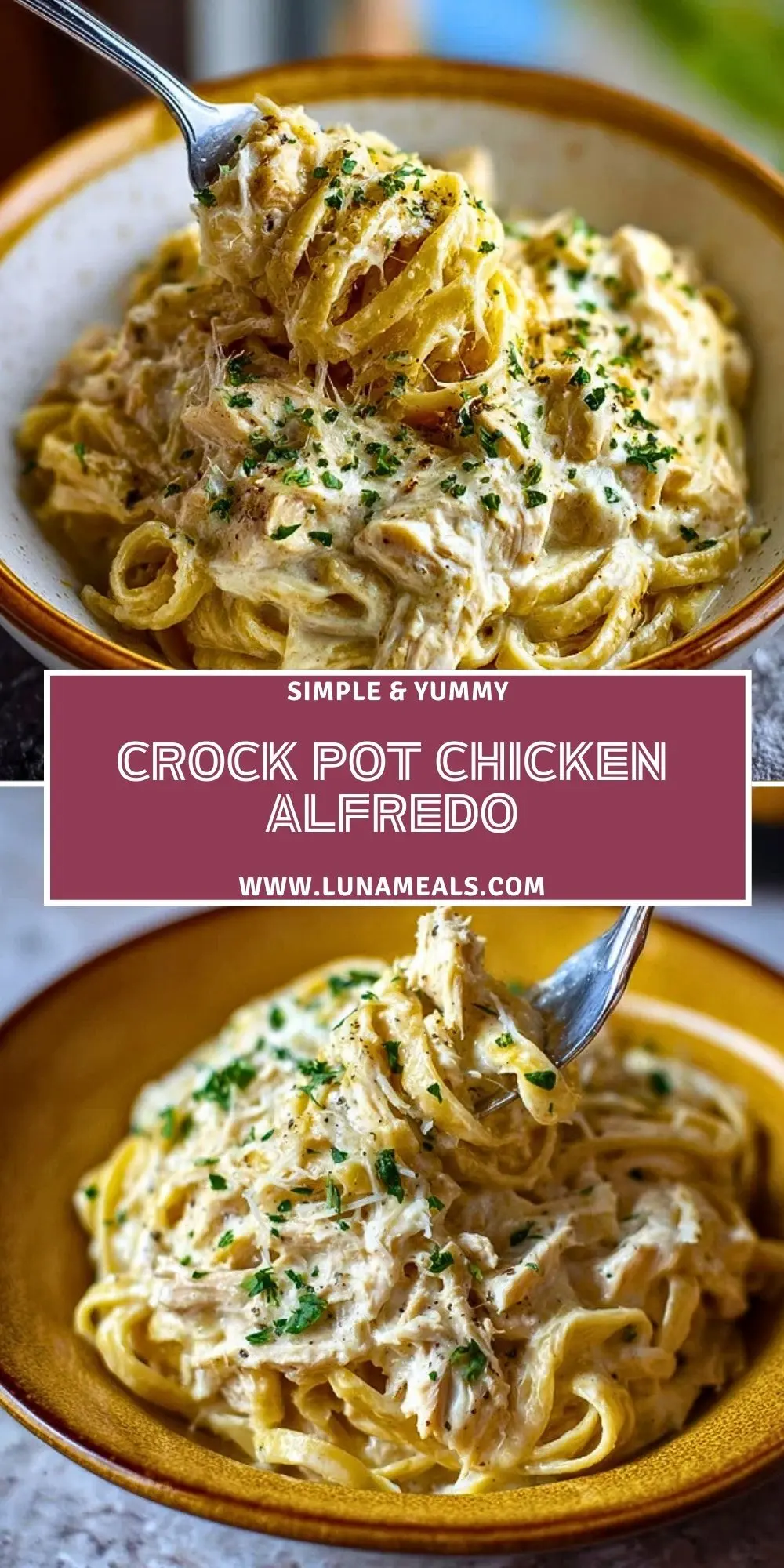 Crock Pot Chicken Alfredo (2)