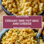 Creamy One Pot Mac and Cheese (2)