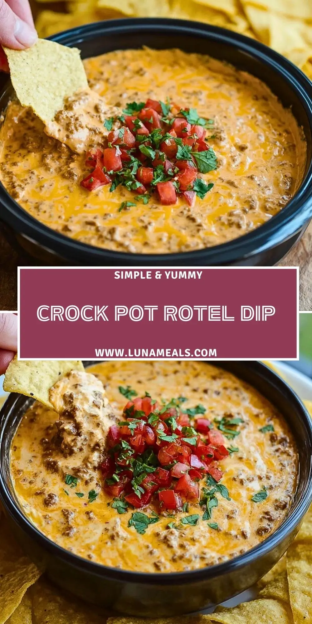 Crock Pot Rotel Dip (2)