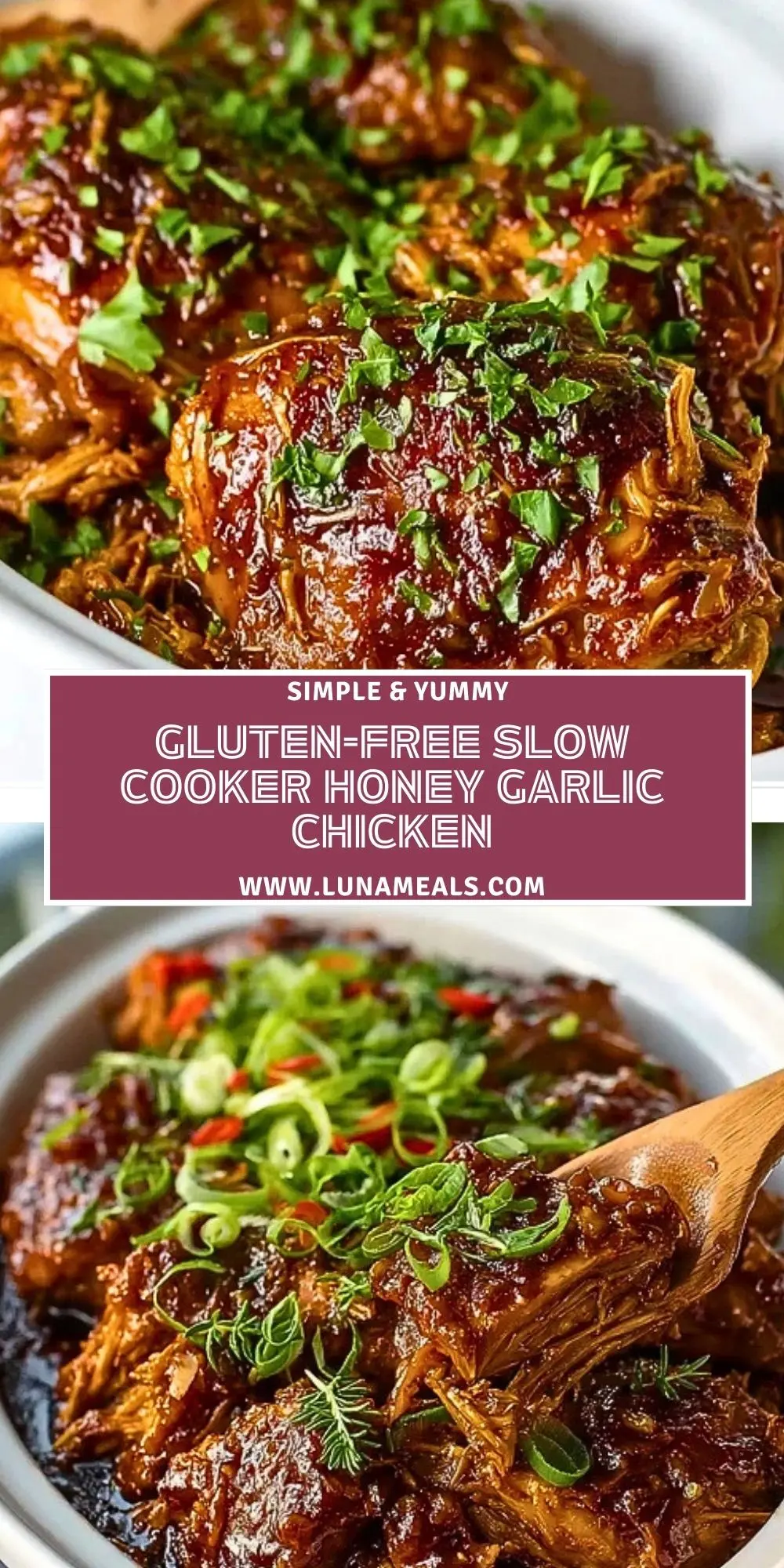 Gluten-Free Slow Cooker Honey Garlic Chicken (2)