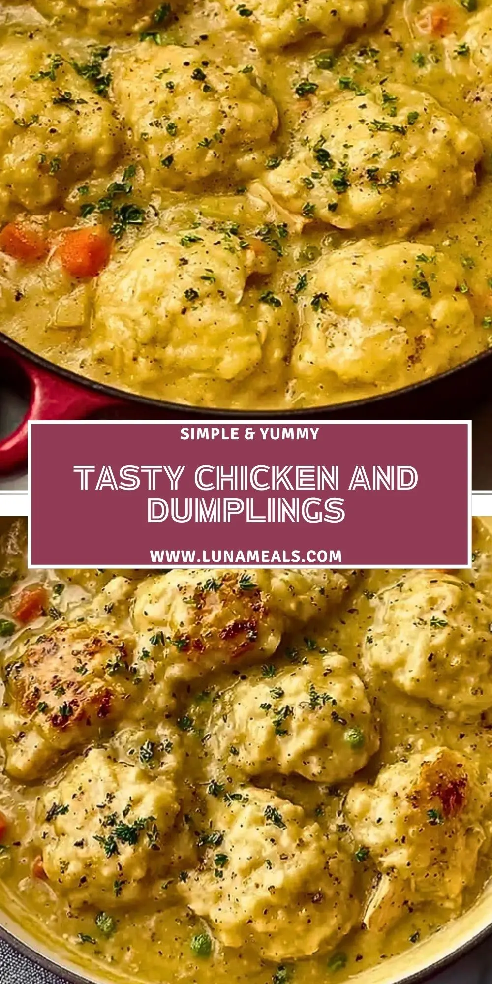 Tasty Chicken And Dumplings (2)