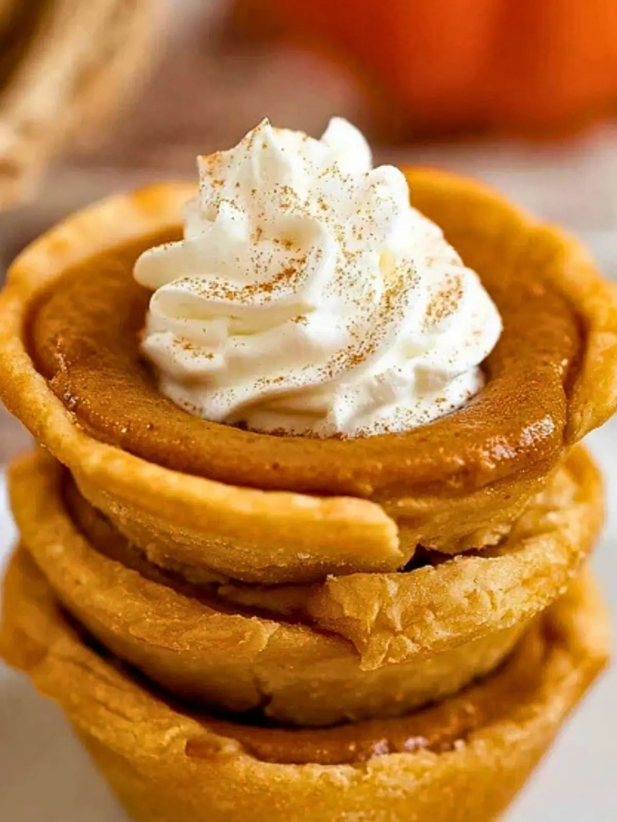 The Best Mini Pumpkin Pies (1)