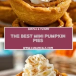 The Best Mini Pumpkin Pies (2)