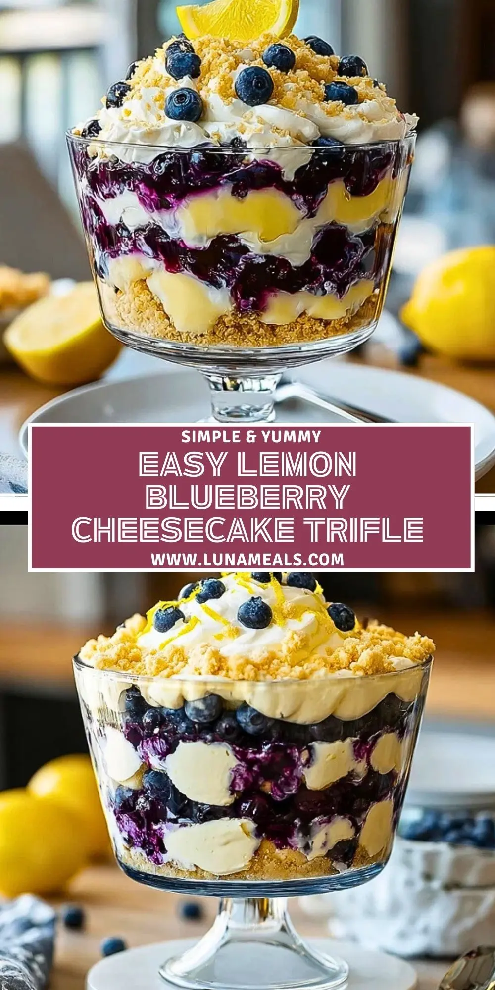Easy Lemon Blueberry Cheesecake Trifle (2)