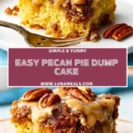 Easy Pecan Pie Dump Cake (3)