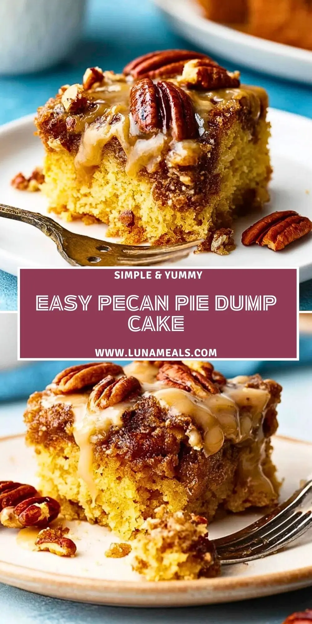Easy Pecan Pie Dump Cake (3)