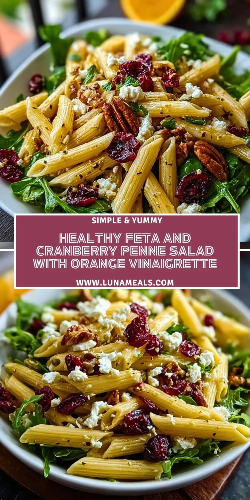 Healthy Feta and Cranberry Penne Salad with Orange Vinaigrette (2)