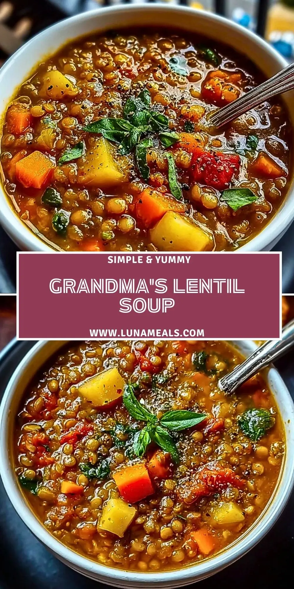 Grandma's Lentil Soup (2)