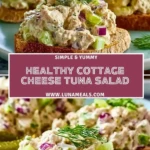 Healthy Cottage Cheese Tuna Salad (2)
