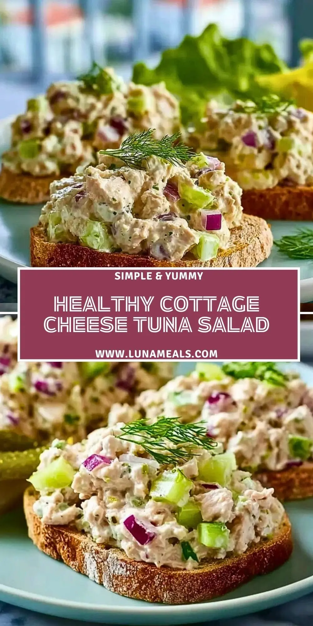 Healthy Cottage Cheese Tuna Salad (2)