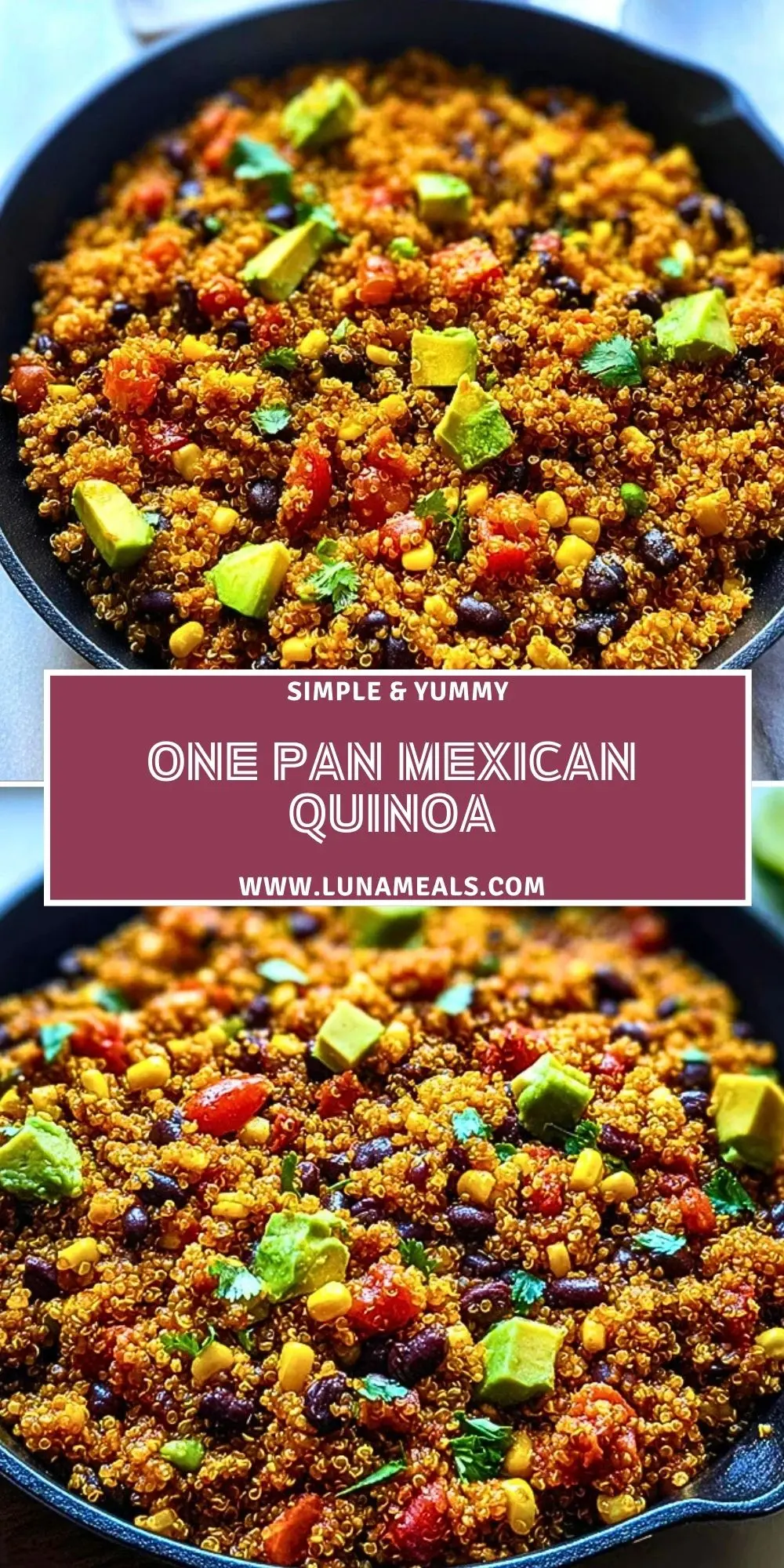 One Pan Mexican Quinoa (2)