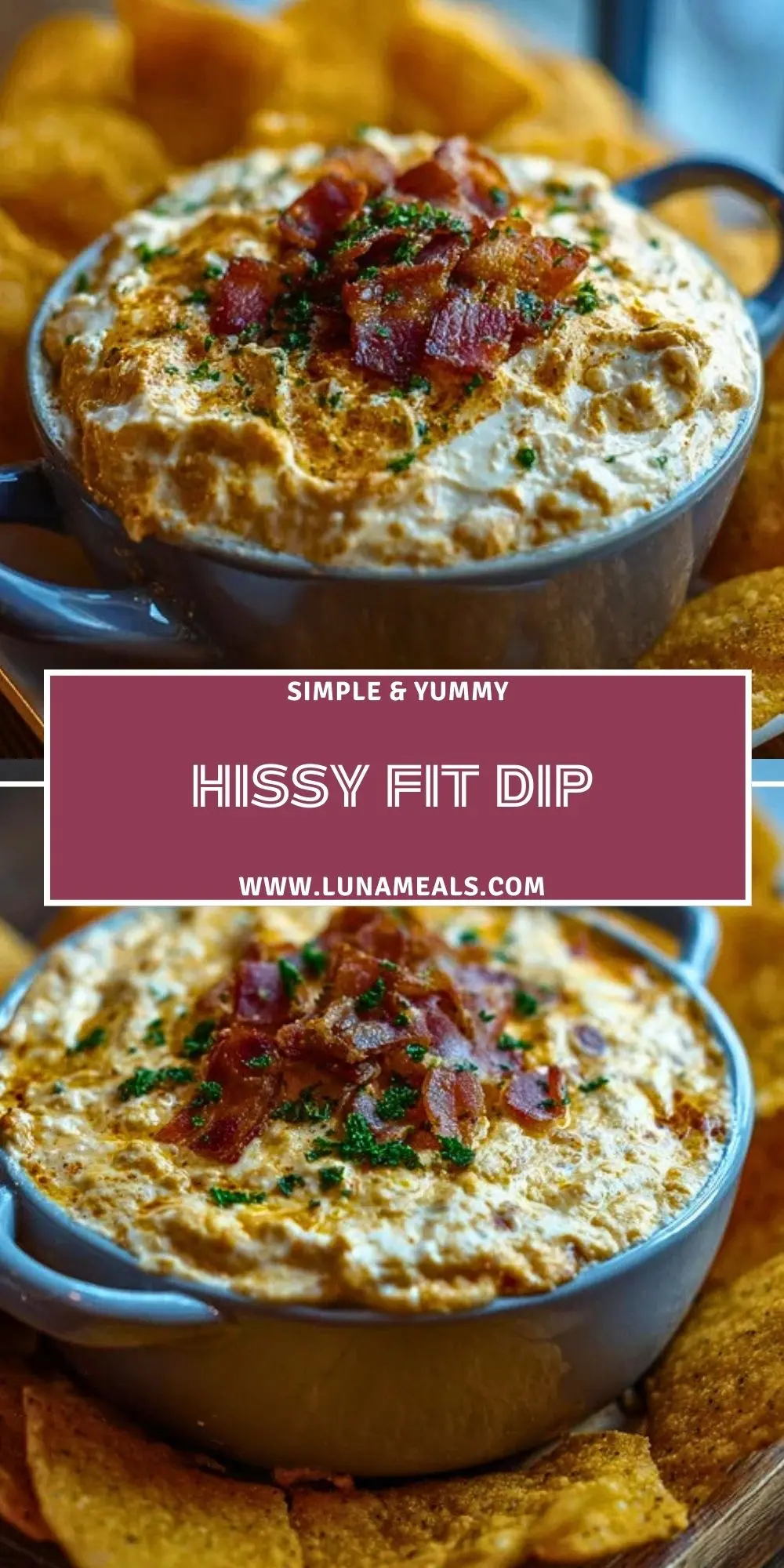 Hissy Fit Dip (2)