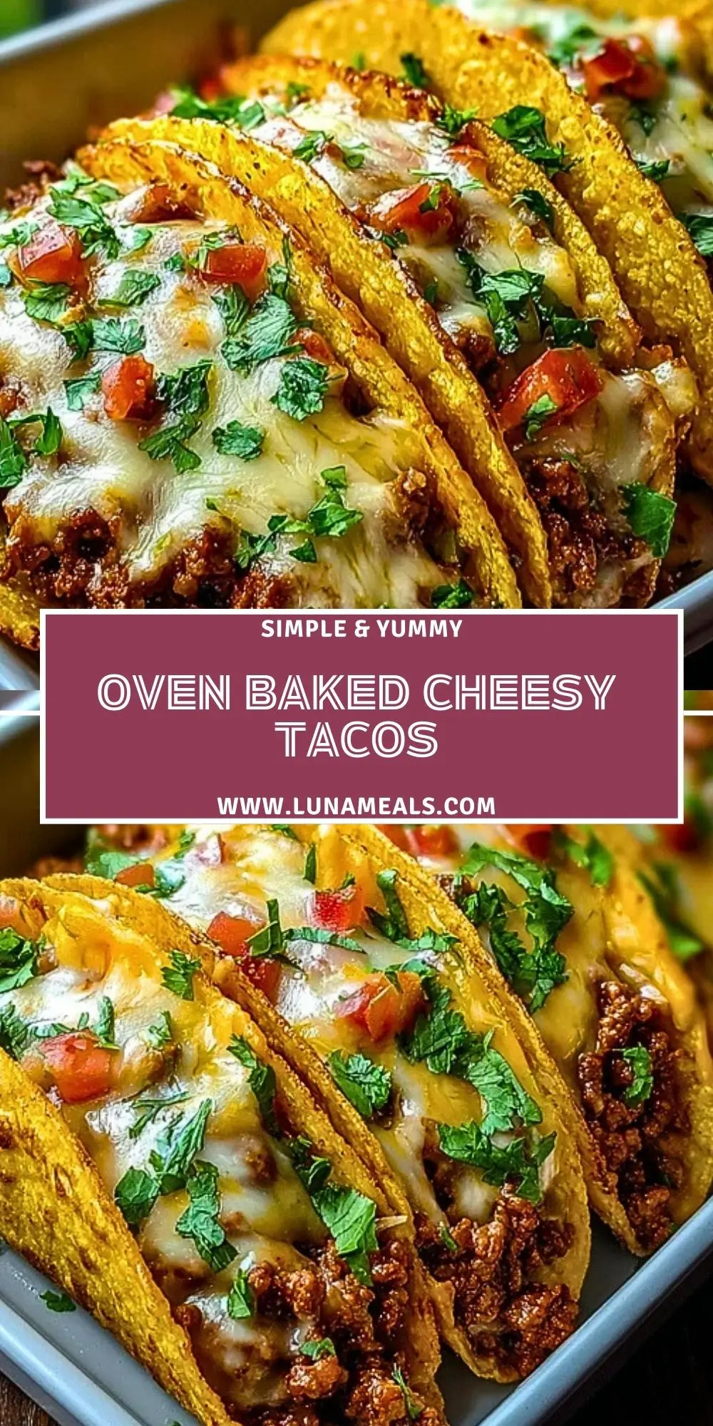 Oven Baked Cheesy Tacos (2)