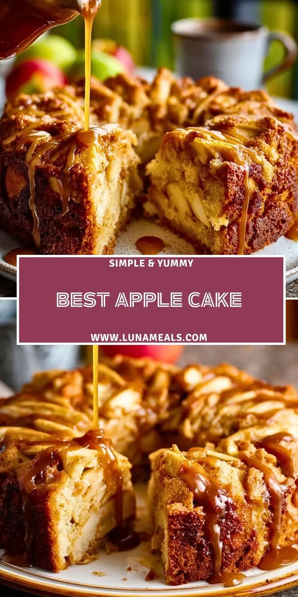 Best Apple Cake (2)