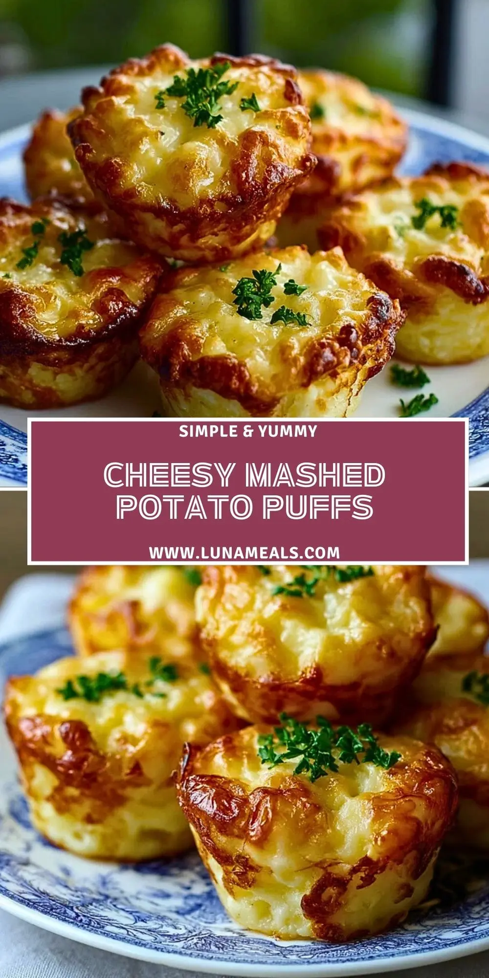 Cheesy Mashed Potato Puffs (2)