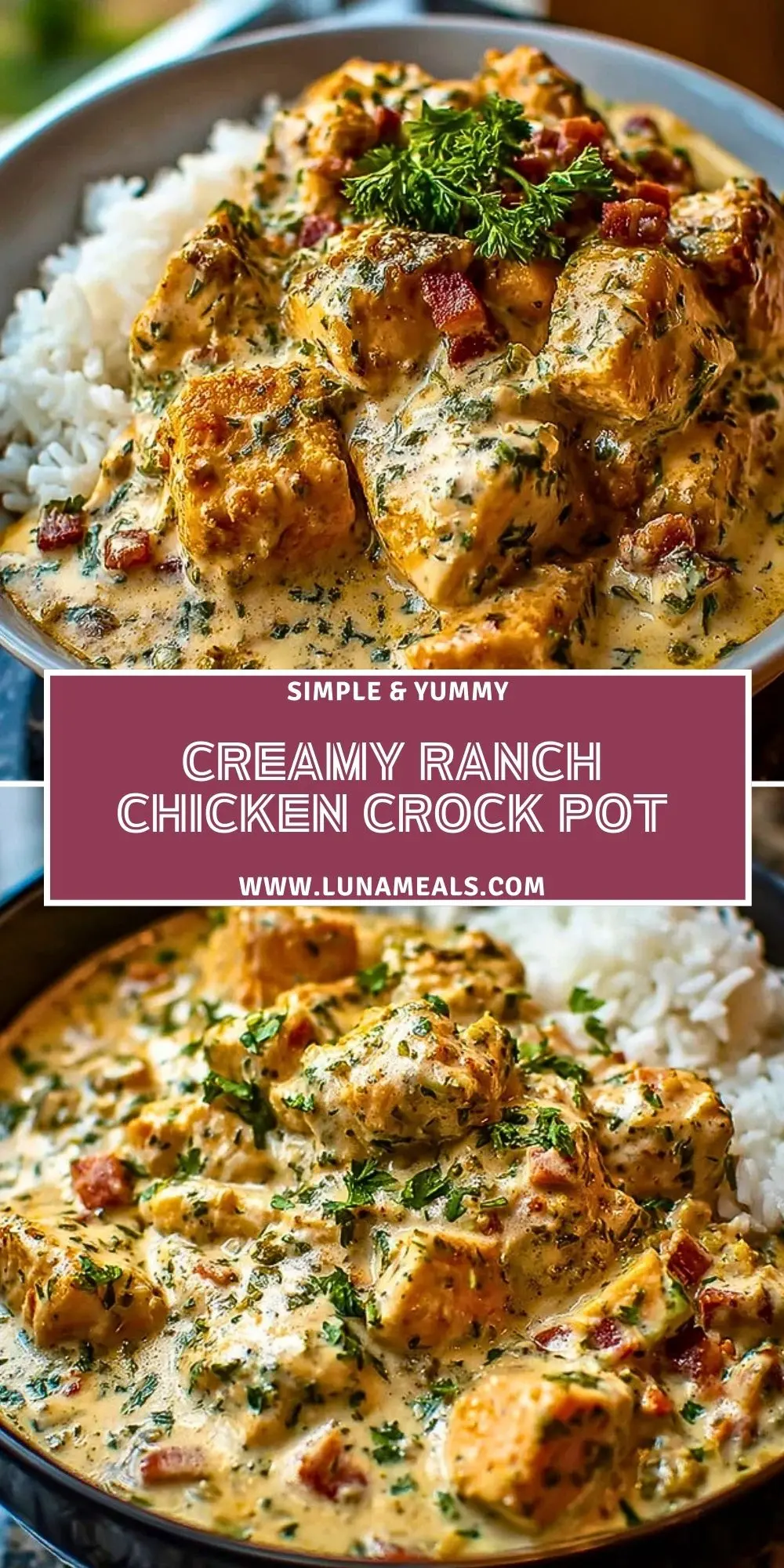 Creamy Ranch Chicken Crock Pot (2)