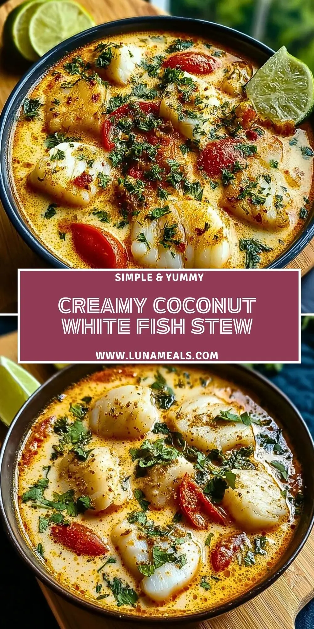 Creamy Coconut White Fish Stew (2)