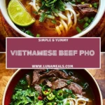 Vietnamese Beef Pho (2)