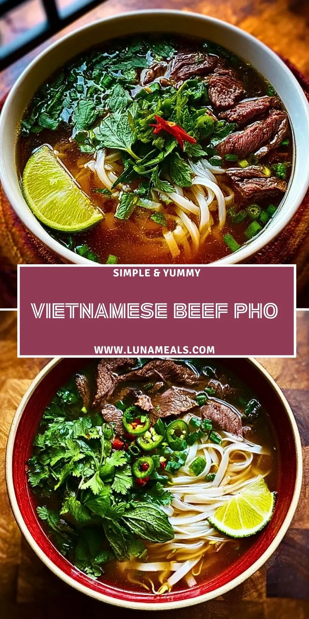 Vietnamese Beef Pho (2)