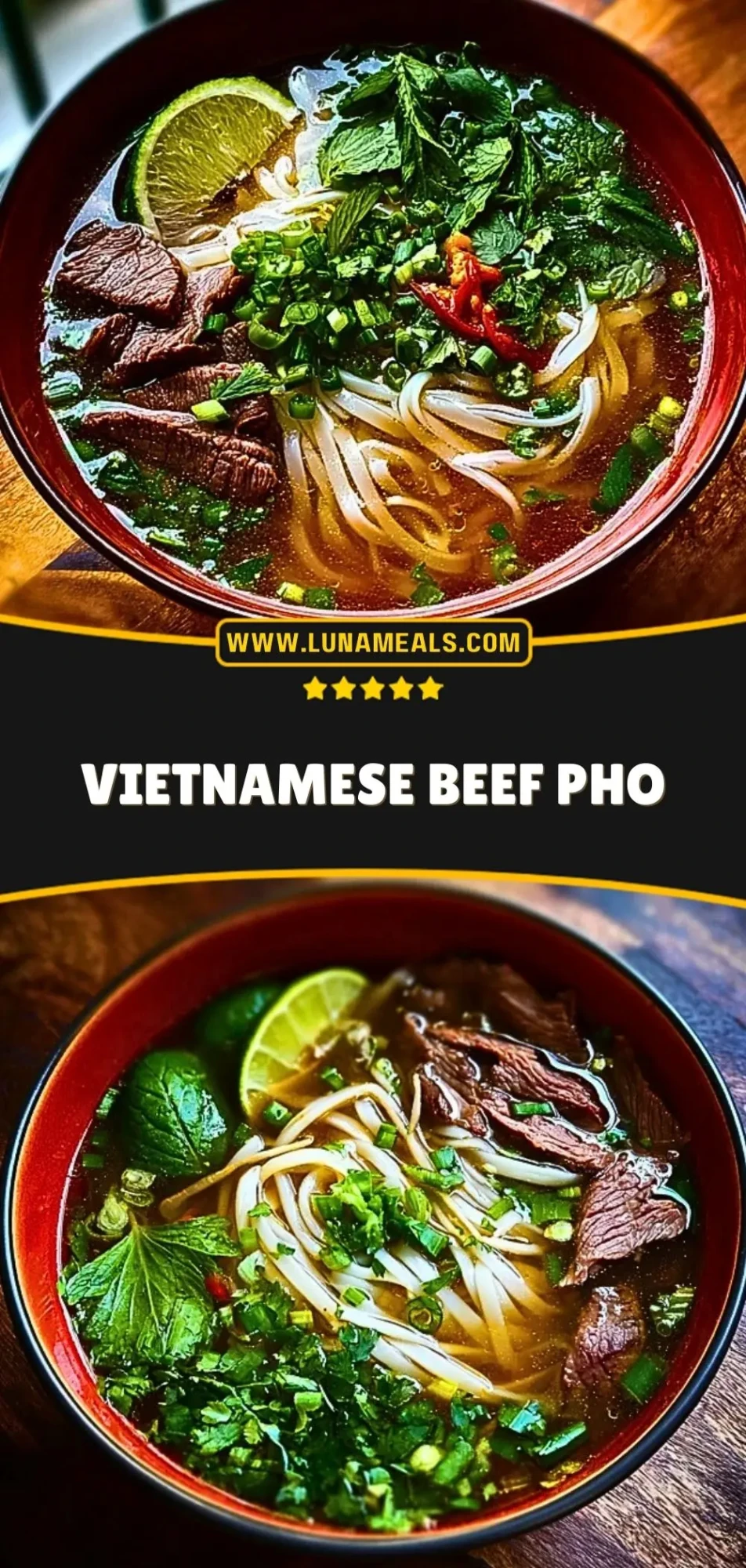 Vietnamese Beef Pho (3)