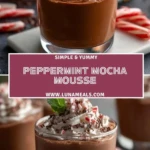 Peppermint Mocha Mousse (2)