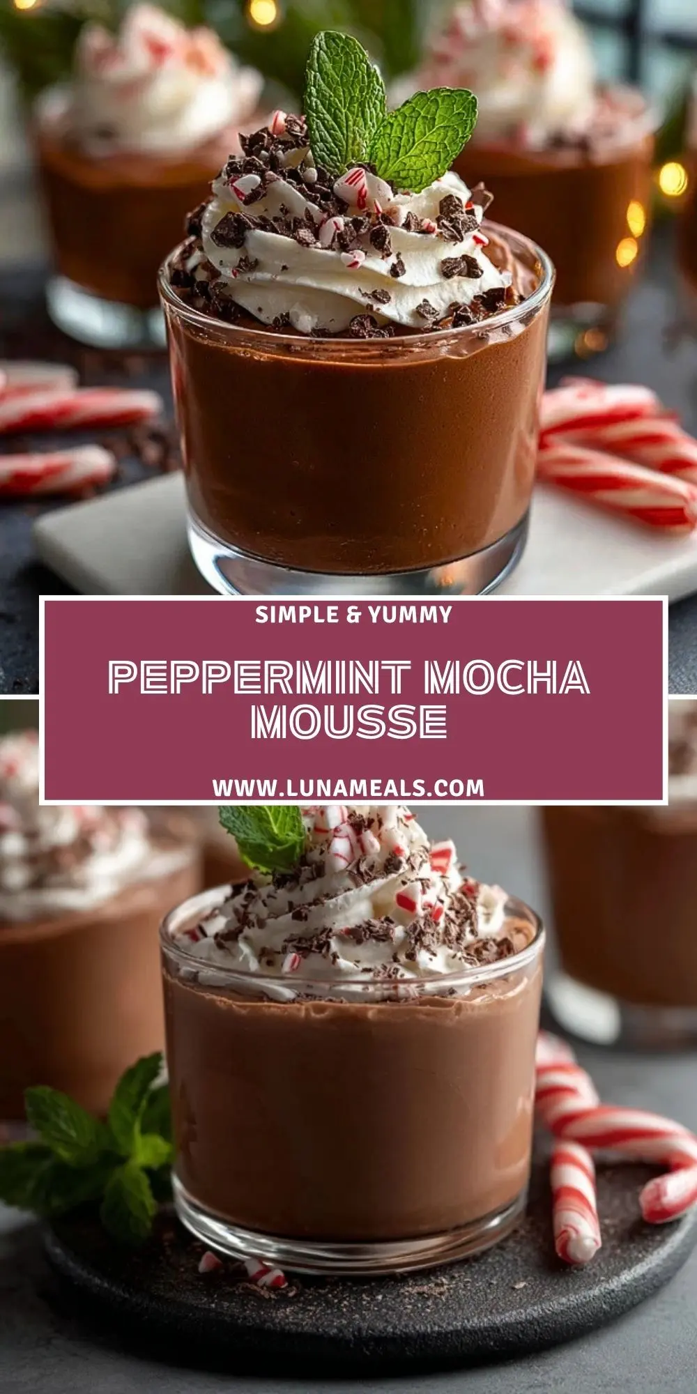 Peppermint Mocha Mousse (2)