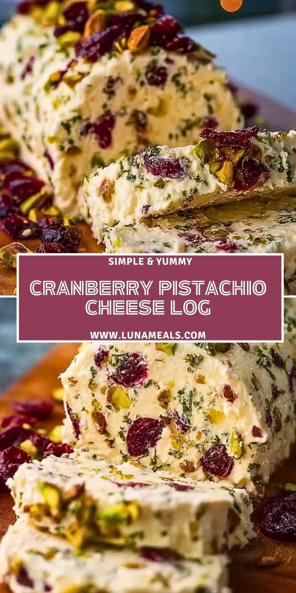 Cranberry Pistachio Cheese Log (2)