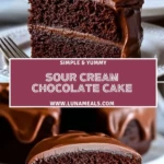 Sour Cream Chocolate Cake (2)