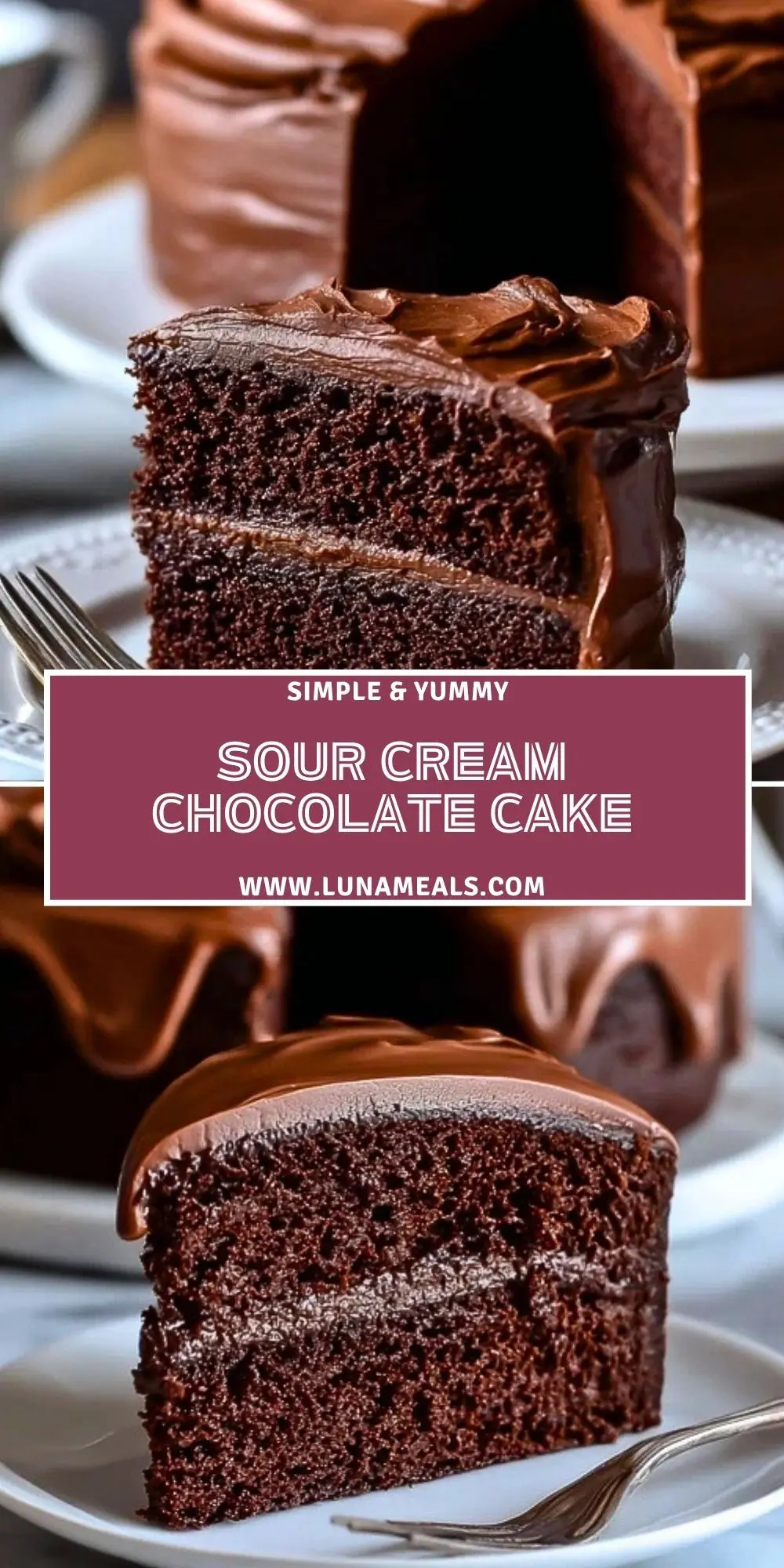 Sour Cream Chocolate Cake (2)