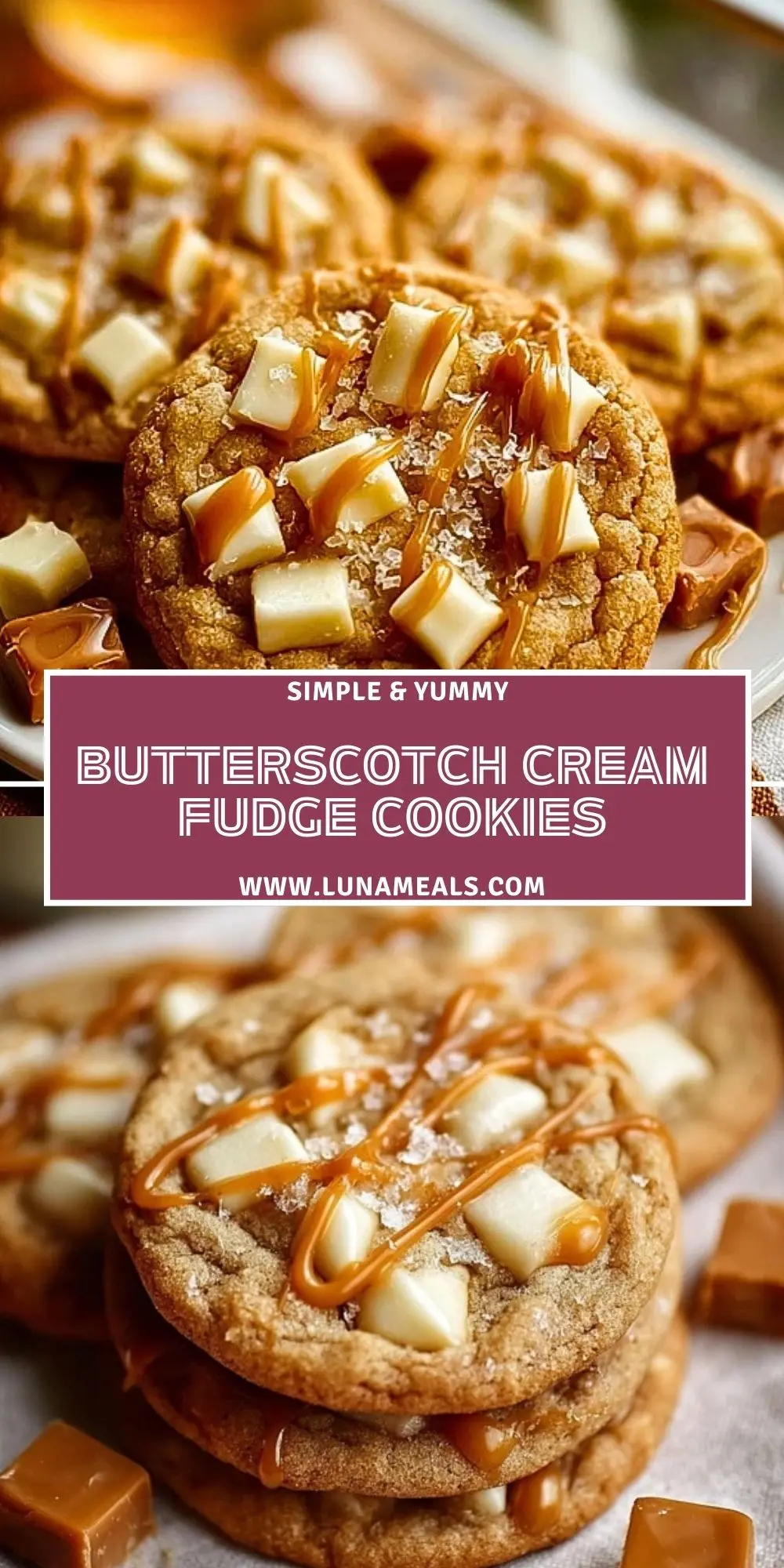 Butterscotch Cream Fudge Cookies (2)