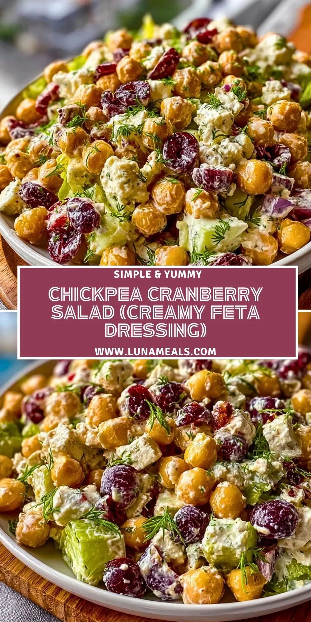 Chickpea Cranberry Salad (Creamy Feta Dressing) (2)