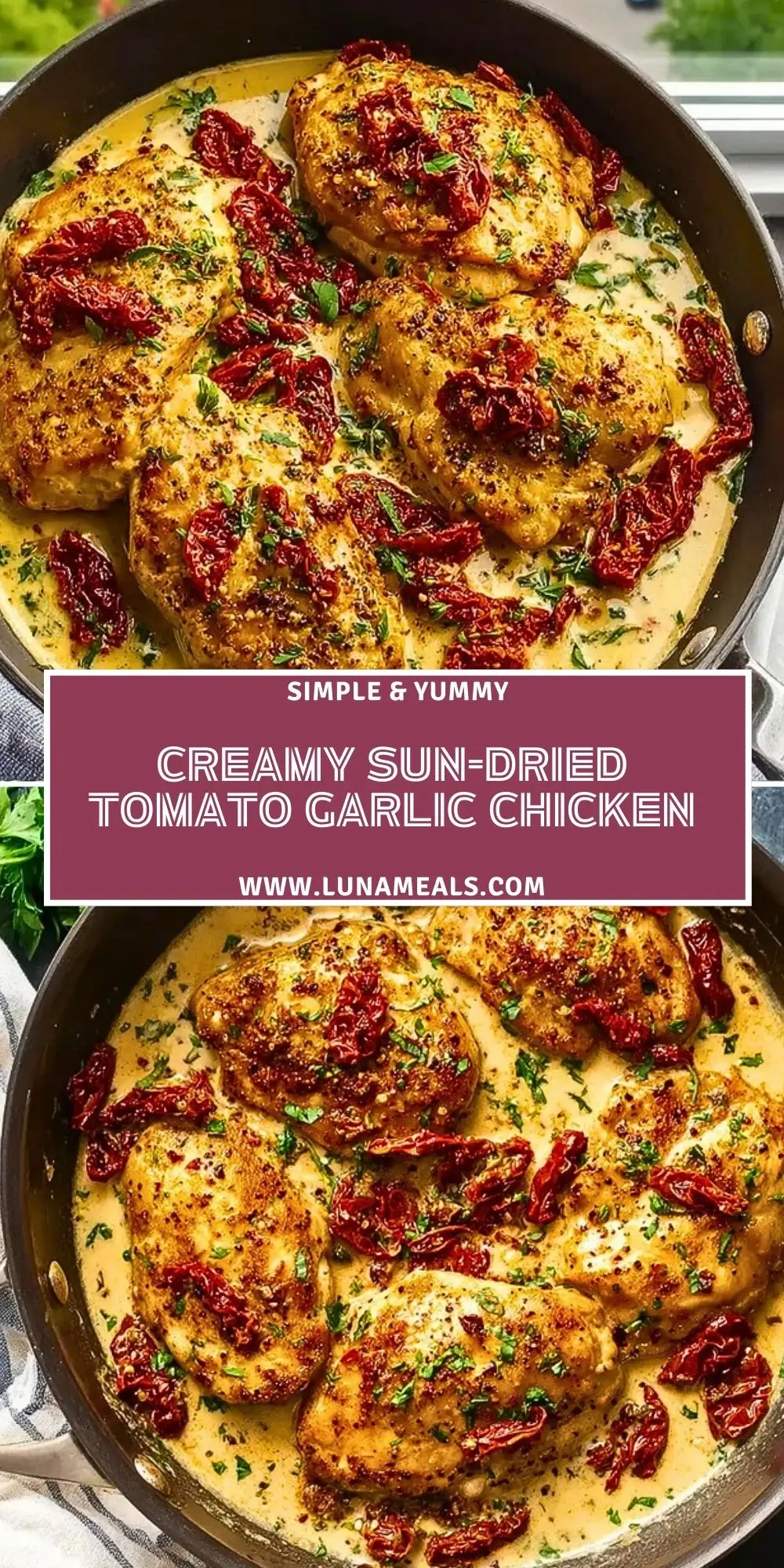 Creamy Sun-Dried Tomato Garlic Chicken (2)