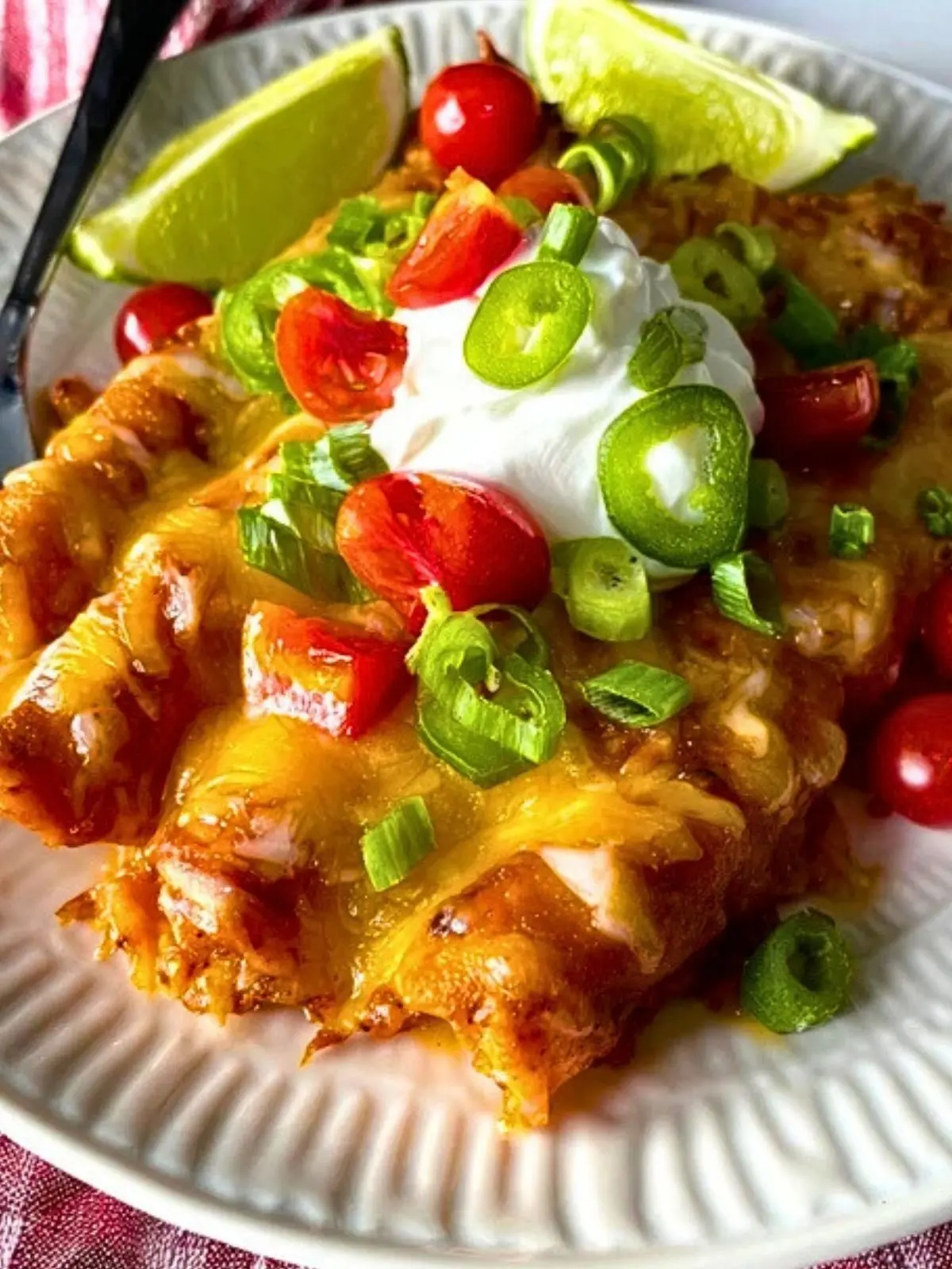 Frozen Taquito Enchiladas (1)