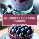 Blueberry Chia Seed Pudding (2)