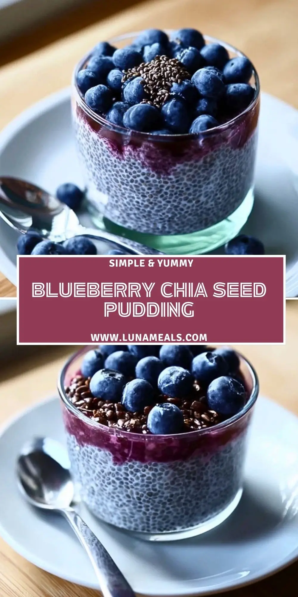 Blueberry Chia Seed Pudding (2)