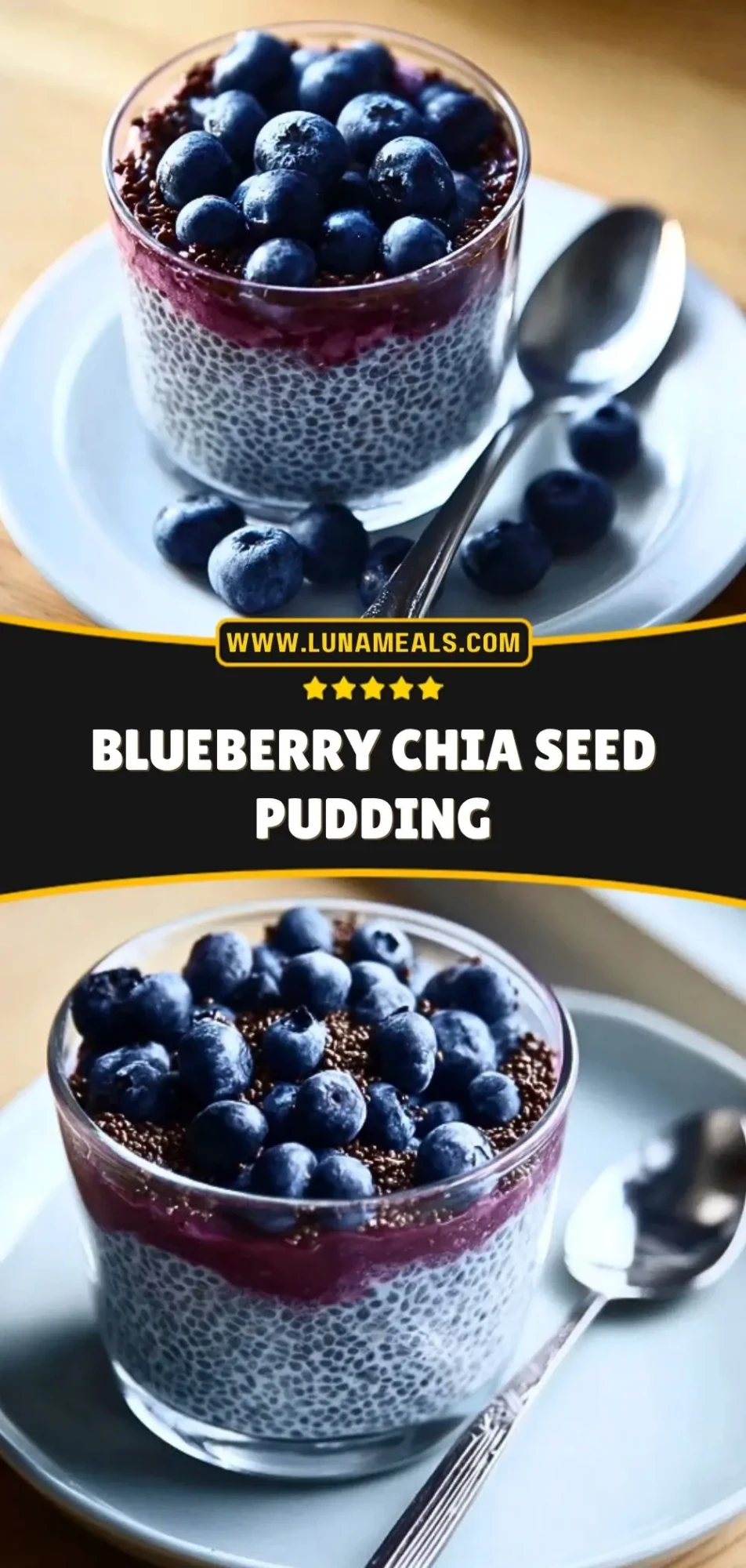 Blueberry Chia Seed Pudding (3)