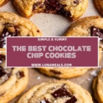 The Best Chocolate Chip Cookies (2)