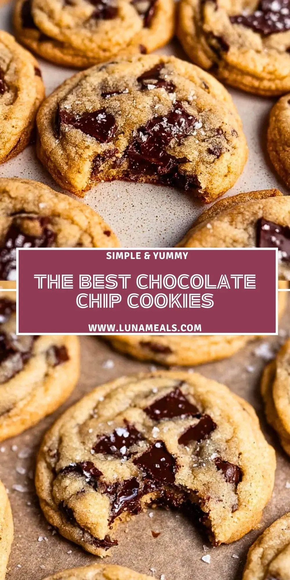 The Best Chocolate Chip Cookies (2)